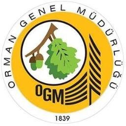 ogm256x256